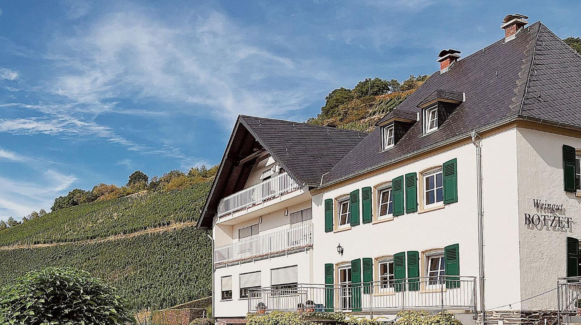 Pension 1595 Im Weingut Botzet 马林诺维德 外观 照片